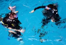 So findest Du die perfekte Great Barrier Reef Tour