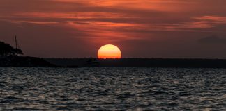 Die besten Tipps für Darwin