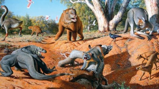 Tiere in Australien: Die unglaublichen Giganten der Urzeit