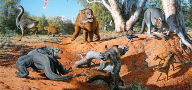 Tiere in Australien: Die unglaublichen Giganten der Urzeit