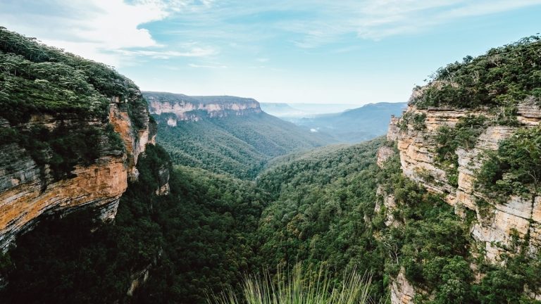 Blue Mountains National Park: Der Guide