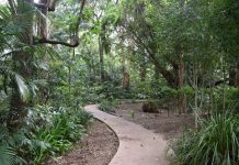 7 unglaubliche Orte in Far North Queensland must sees far north queensland
