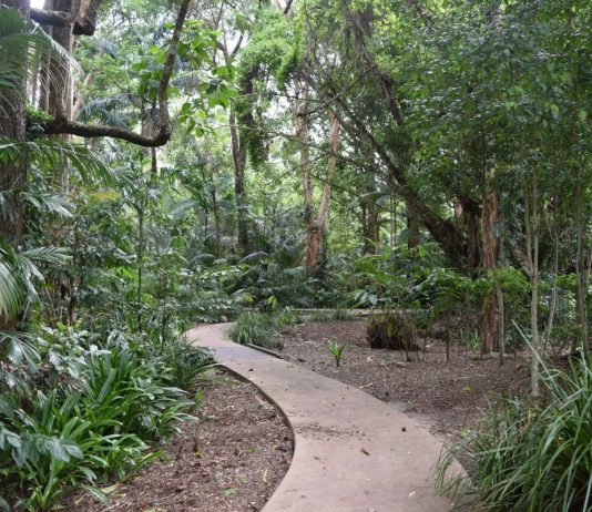 7 unglaubliche Orte in Far North Queensland must sees far north queensland