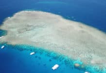 Great Barrier Reef – Alle Infos auf einen Blick