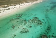 Die Coral Coast – Roadtrip entlang der Westküste Australiens