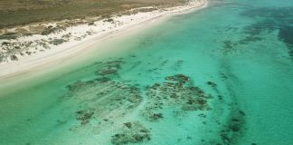 Die Coral Coast – Roadtrip entlang der Westküste Australiens