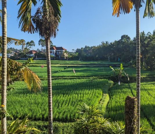 Bali Guide: Das solltest du nicht verpassen und Tipps für günstige Reisen bali guide