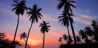 Roadtrip von Brisbane nach Cairns: Die perfekte 15-tägige Reiseroute