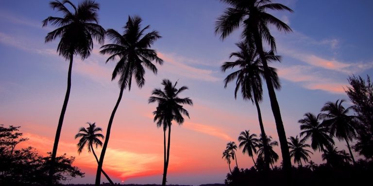 Roadtrip von Brisbane nach Cairns: Die perfekte 15-tägige Reiseroute