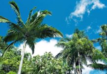 Ostküste Australien Roadtrip: Sydney nach Cairns