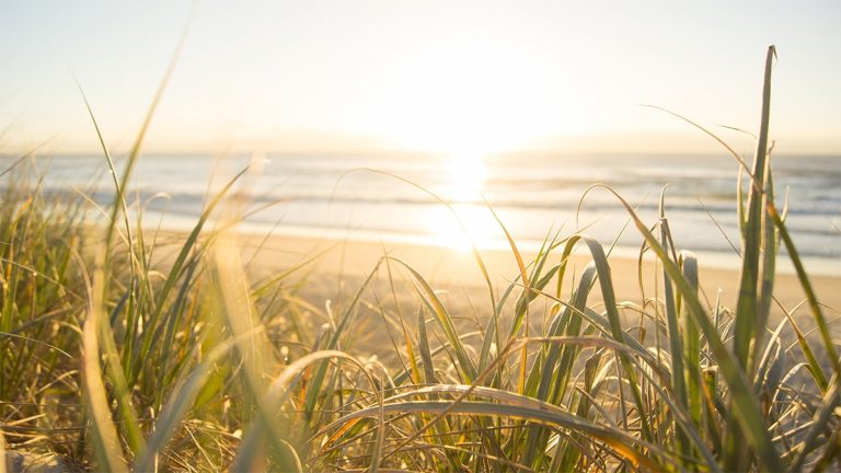 Die besten Sehenswürdigkeiten an der Sunshine Coast