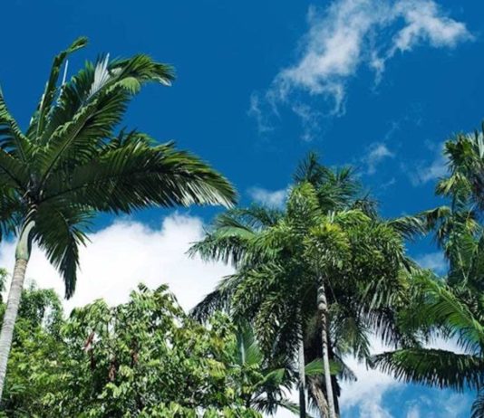 Wohnmobil & Camper in Cairns mieten cairns-australien