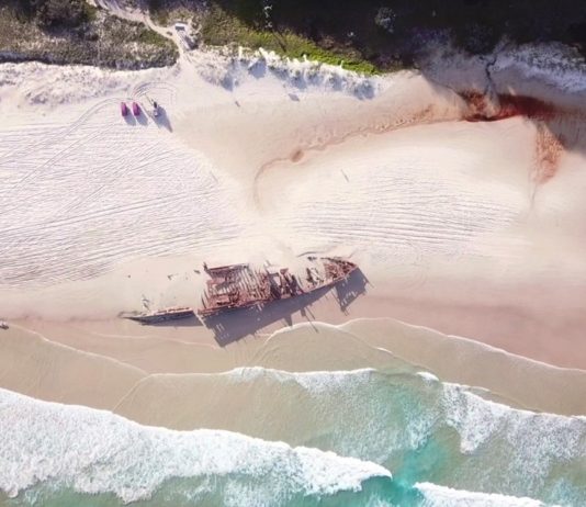 K’gari (Fraser Island) Trip: Der ultimative Reiseführer & Tipps fraser island