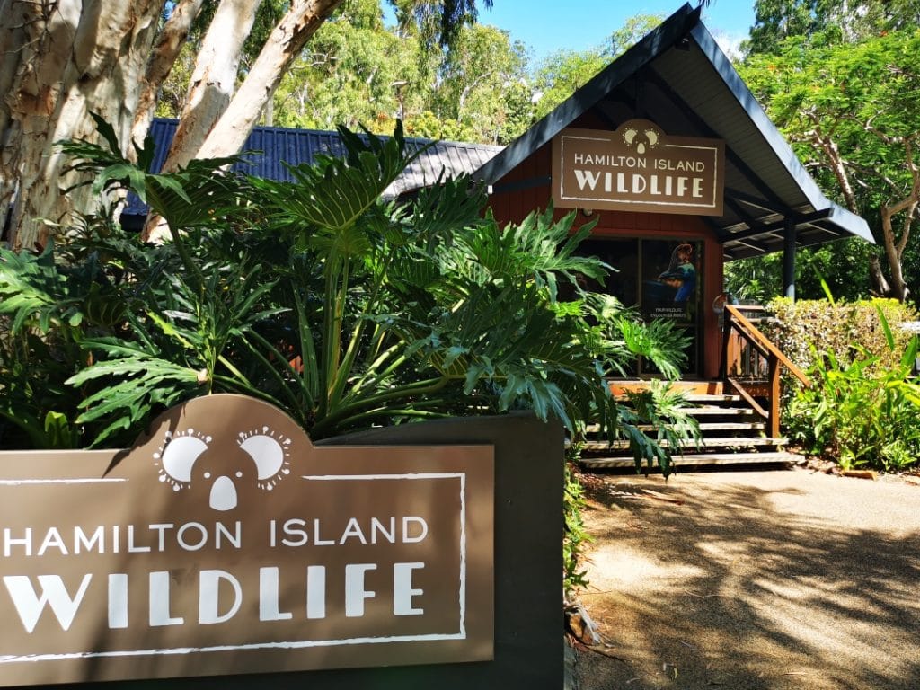 hamilton island wildlife