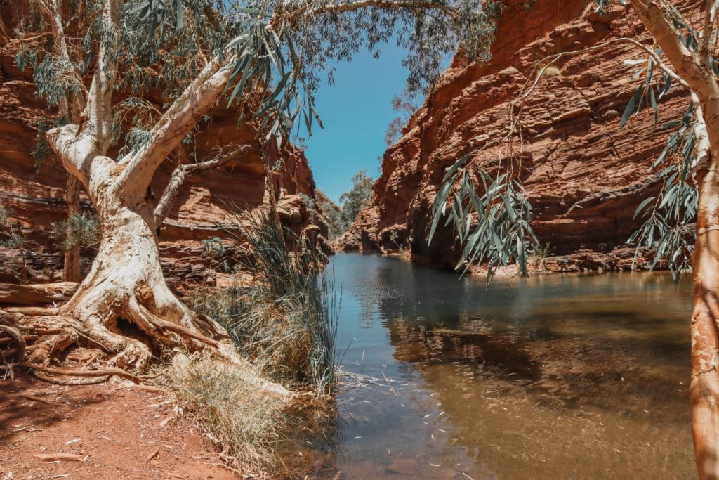 rote Schluchten und blauer Himmel im Karijini Nationalpark