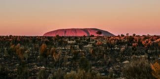 Besuche Ayers Rock (Uluru) – Der heilige Felsen Australiens