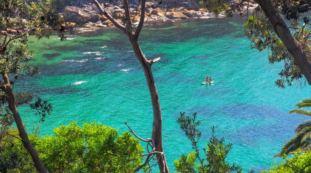 Surfen McKenzies Bay & Tamarama Sydney